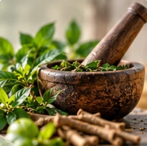 Stone mortar with fresh herbs and dried roots