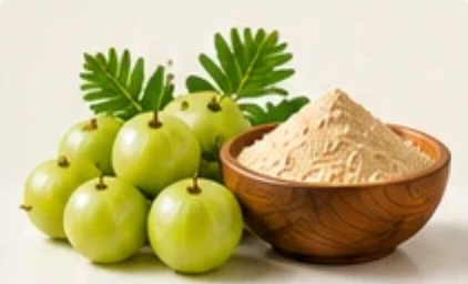 Amla fruits with extract powder