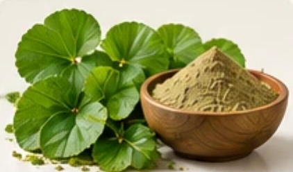 Centella leaves with extract powder